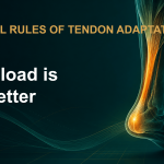 EP08 EN — The Tendon: What Actually Drives Pain and Recovery?